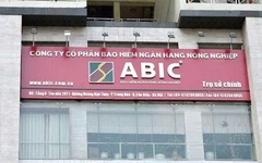 ABIC lên kế hoạch tăng vốn điều lệ lên hơn 1.015 tỷ đồng trong năm 2025
