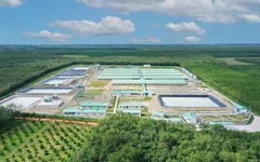 Baf Việt Nam muốn chuyển nhượng một công ty con