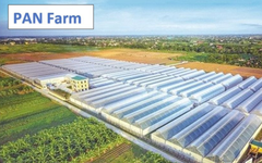 Thanh toán hơn 210 tỷ đồng gốc, lãi trái phiếu, dư nợ của Pan Farm còn bao nhiêu?