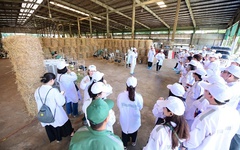Trang trại Vinamilk Green Farm dưới lăng kính phát triển bền vững có gì đặc biệt?