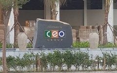 CEO Group chốt ngày đăng ký nhận cổ tức năm 2024 bằng cổ phiếu