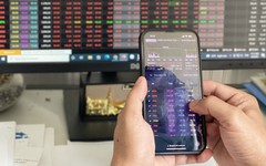 Gần 200.000 tài khoản chứng khoán mở mới của nhà đầu tư cá nhân trong tháng 6