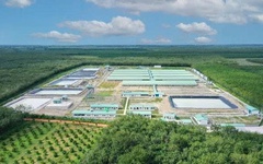 Baf Việt Nam ‘rót’ 150 tỷ đồng thành lập công ty con tại Ninh Bình