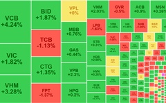 Chứng khoán ngày 9/7: Giao dịch sôi động, VN-Index chinh phục mốc 1.430 điểm