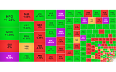 Chứng khoán ngày 12/8: VN-Index chính thức vượt mốc 1.600 điểm