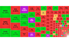 Chứng khoán ngày 15/8: VN-Index đứt mạch tăng trước áp lực chốt lời
