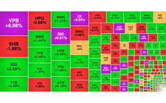 Chứng khoán ngày 19/8: Nhóm ngân hàng 'dẫn sóng, VN-Index vượt 1.650 điểm