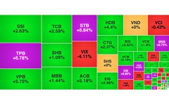 Chứng khoán ngày 21/8: Nhóm ngân hàng tím trần, VN-Index vươn lên 1.688 điểm