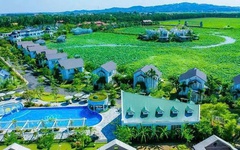 TIG muốn chuyển nhượng công ty con tại Hungary