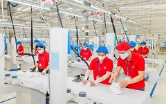 Nam Thuận Nghệ An của Chủ tịch Lê Thị Thịnh 6 tháng chưa đóng bảo hiểm cho người lao động