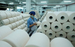 Sợi Thế Kỷ sắp phát hành hơn 43 triệu cổ phiếu trả cổ tức