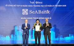 Top 10 Ngân hàng thương mại tư nhân uy tín tiếp tục gọi tên SeABank