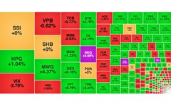 Chứng khoán ngày 11/9: Thanh khoản cải thiện, VN-Index tăng 14 điểm
