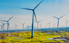 Chủ đầu tư Nhà máy Điện gió Hòa Đông 2 công bố tài chính bán niên 2025