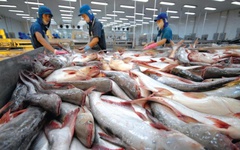 NHNN nâng quy mô tín dụng nông, lâm, thủy sản lên 185.000 tỷ đồng