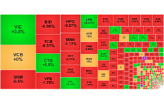 Chứng khoán ngày 26/9: VIC giúp VN-Index thu hẹp đà giảm