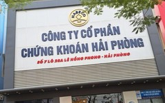 Haseco dự kiến tăng vốn điều lệ gấp 4,4 lần