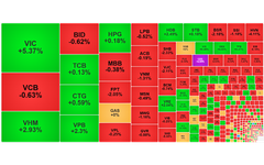 Chứng khoán ngày 29/9: Bộ đôi VIC-VHM giúp VN-Index giữ sắc xanh