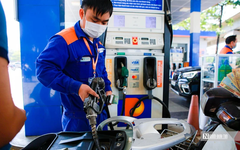Phó Thủ tướng chỉ đạo về điều hành giá điện, xăng dầu và mặt hàng thiết yếu