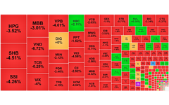 Chứng khoán ngày 5/9: VN-Index lao dốc sau khi leo đỉnh 1.700 điểm