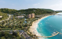 Trung Thủy - Đà Nẵng lỗ ròng sau nửa đầu năm 2025, vay ngân hàng hơn 1.200 tỷ đồng
