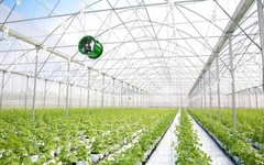 Pan Farm báo lãi ròng trong nửa đầu 2025, nợ vay ngân hàng gấp 4 lần cùng kỳ