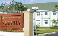 Vidipha bị HoSE nhắc nhở do chậm công bố thông tin