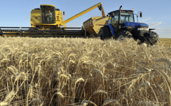 Hơn 700 nghìn tấn hàng từ Ukraine đổ bộ Việt Nam trong năm 2025, là mặt hàng nước ta gần như không trồng được