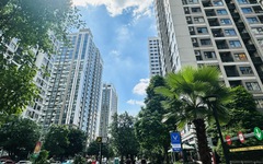 "Bán nhà hơn 2 tỷ đi làm ăn, gần 2 năm chưa thu hồi vốn còn căn hộ cũ đã lên gần 4 tỷ"