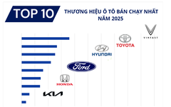 Top doanh số các thương hiệu ô tô Việt Nam năm 2025: VinFast bằng 3 thương hiệu đứng sau cộng lại