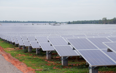 Xử phạt loạt doanh nghiệp liên quan đến WTO