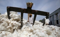 Xuất khẩu sang Trung Quốc trượt dốc mạnh, Mỹ ồ ạt đưa một mặt hàng vào Việt Nam, nước ta tiêu thụ 1,5 triệu tấn/năm