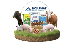 Hòa Phát bán hơn 1,3 triệu cổ phiếu Nông nghiệp Hòa Phát trước thềm niêm yết