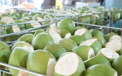 Không phải sầu riêng, một báu vật triệu đô của Việt Nam khiến Trung Quốc, Mỹ cực mê: xuất khẩu hơn 1 tỷ USD, diện tích trồng gần 200.000 ha