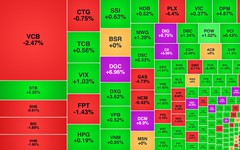 Chứng khoán ngày 22/1: VN-Index giảm nhẹ phiên thứ 3 liên tiếp