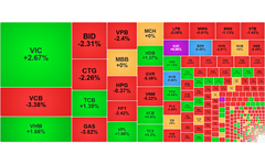 Chứng khoán ngày 23/1: VN-Index lùi về 1.870 điểm