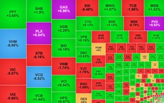 Chứng khoán ngày 27/1: VCG giảm sàn, VN-Index 'lùi' về 1.830 điểm