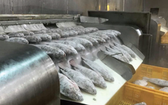 Không phải sầu riêng hay đất hiếm, một kho báu của Việt Nam được Mỹ liên tục săn lùng: Xuất khẩu tăng 499%, nước ta có lợi thế về thuế