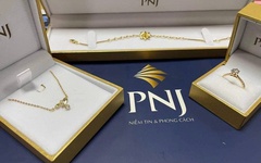 PNJ bảo lãnh cho công ty con vay vốn tại ngân hàng