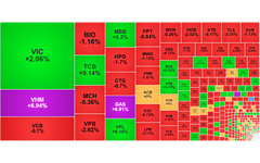 Chứng khoán ngày 5/1: VN-Index tăng điểm phiên đầu năm