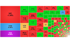 Chứng khoán ngày 8/1: VCB tím trần, VN-Index điều chỉnh