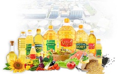 Vocarimex bị xử phạt do vi phạm công bố thông tin