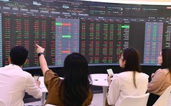 Thị phần môi giới sàn HoSE năm 2025 biến động ra sao?