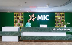 MIC chưa giải ngân xong vốn huy động từ đợt chào bán cổ phiếu năm 2019