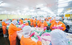 Nam Việt chia cổ tức bằng tiền mặt tỷ lệ 10%