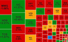 Chứng khoán ngày 13/10: Thanh khoản thấp, VN-Index giảm nhẹ