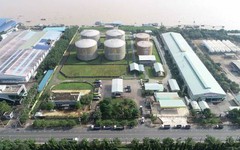 Samland và Dầu khí Nam Sông Hậu bị hủy tư cách công ty đại chúng