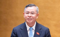 "Doanh nghiệp một người" không bắt buộc phải có Chủ tịch, Kế toán trưởng