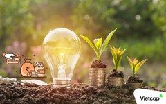 Lịch chốt quyền trả cổ tức trong tuần từ ngày 19/10-23/10, tỷ lệ cao nhất 40%