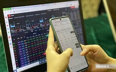 Cổ phiếu VPG bị chuyển sang diện hạn chế giao dịch
